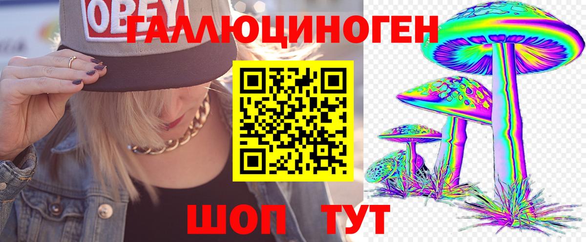 дарнет шоп  Галлюциногенные грибы мицелий  Чита  Вход с VPN  Галлюциногенные грибы мухоморы 