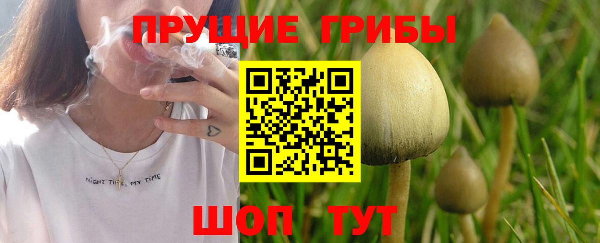 Галлюциногенные грибы Cubensis Чита