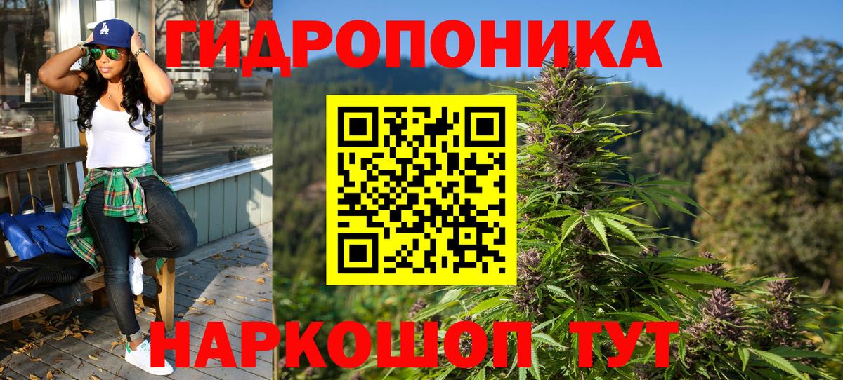 МАРИХУАНА гибрид  Бошки марихуана план  Чита  Марихуана сатива  Вход с VPN 